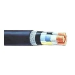 Havells 1.5 Sqmm 24 Core Armoured Low Tension Control Cable, 2XWY/2XFY, Length: 100 M